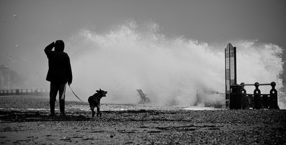 Chris Noble: Portfolio